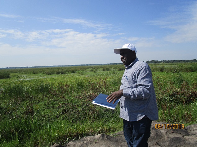 Limito Wetland under restoration