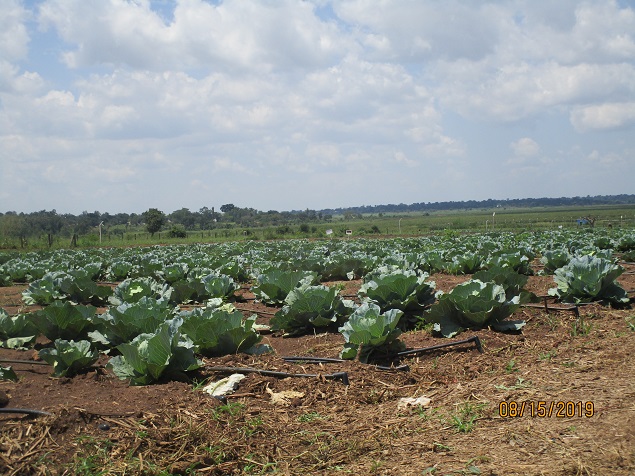 Alternative livelihoods for people voluntarily leaving the wetlands.