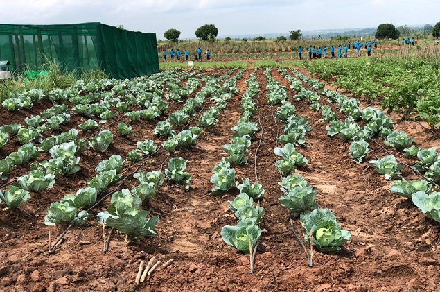 Inspection of completed works at Giligili Presidential Demonstration Farm in Arua district.